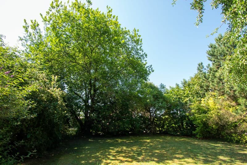 Charmante maison avec terrain à bâtir (4)