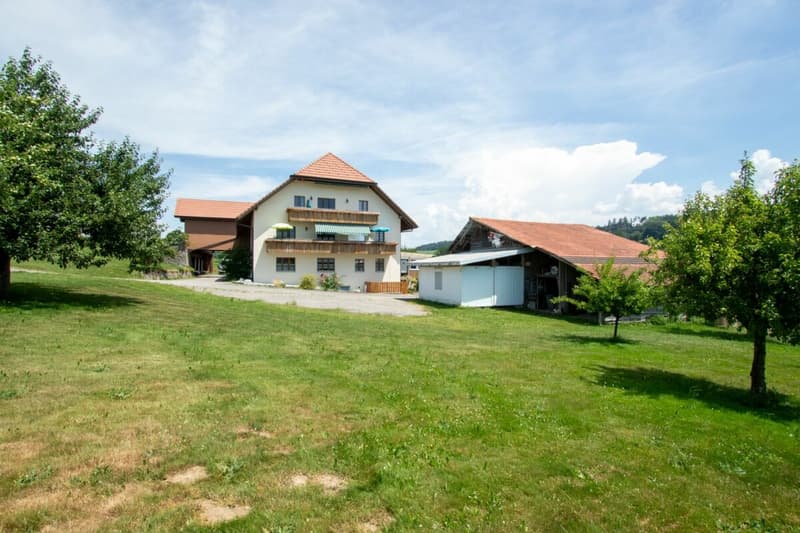Bien plus qu'une ferme - trois appartements et d'innombrables possibilités (1)