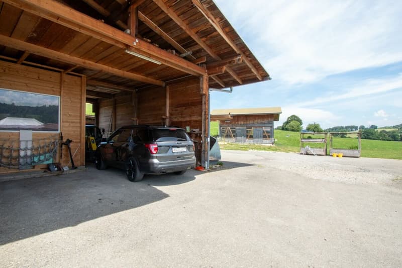 Bien plus qu'une ferme - trois appartements et d'innombrables possibilités (15)