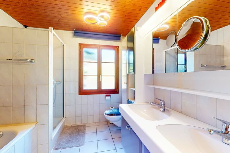 Bien plus qu'une ferme - trois appartements et d'innombrables possibilités (9)