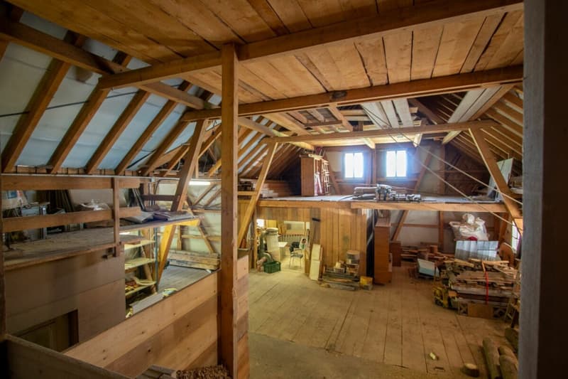 Bien plus qu'une ferme - trois appartements et d'innombrables possibilités (14)
