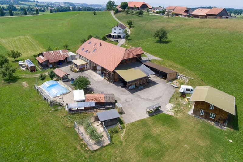 Bien plus qu'une ferme - trois appartements et d'innombrables possibilités (3)