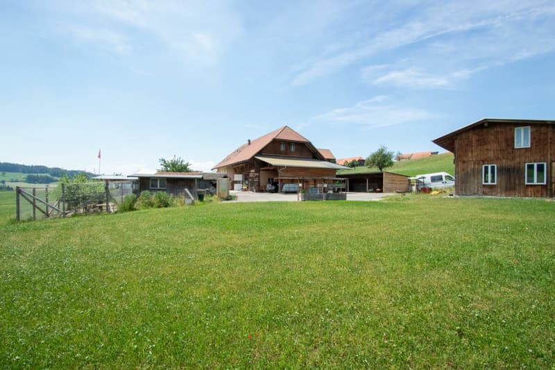 Bien plus qu'une ferme - trois appartements et d'innombrables possibilités (4)