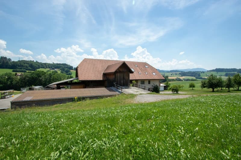 Bien plus qu'une ferme - trois appartements et d'innombrables possibilités (5)