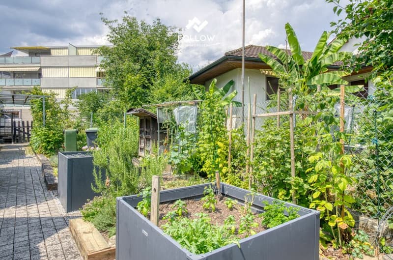 Raumwunder für die Familie: 4.5-Zimmer-Reihenhaus mit Loft und Dachterrasse (13)
