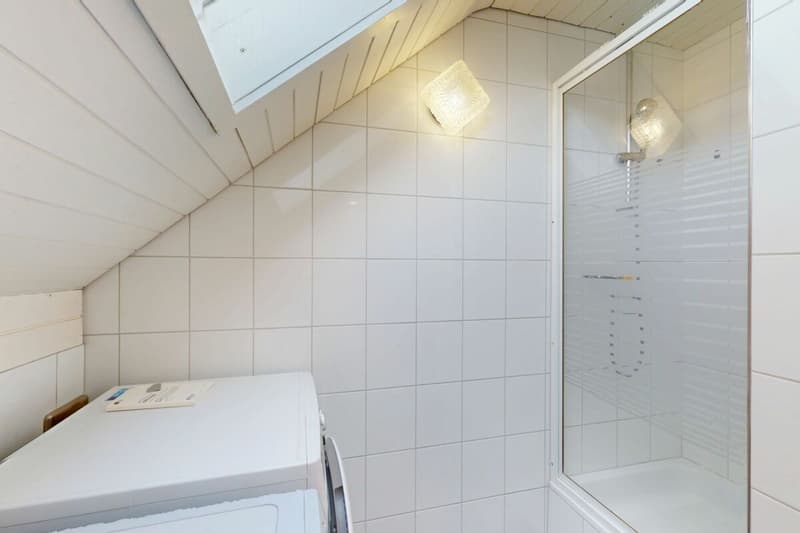 aussergewöhnliche 3,5-Zimmer-Wohnung mit viel Charme und 2 Terrassen (20)