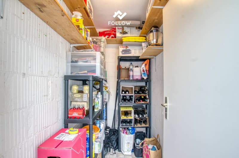Panoramablick über den Bielersee: Modernisierte Attika-Traumwohnung in Twann (22)