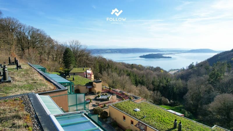 Panoramablick über den Bielersee: Modernisierte Attika-Traumwohnung in Twann (3)
