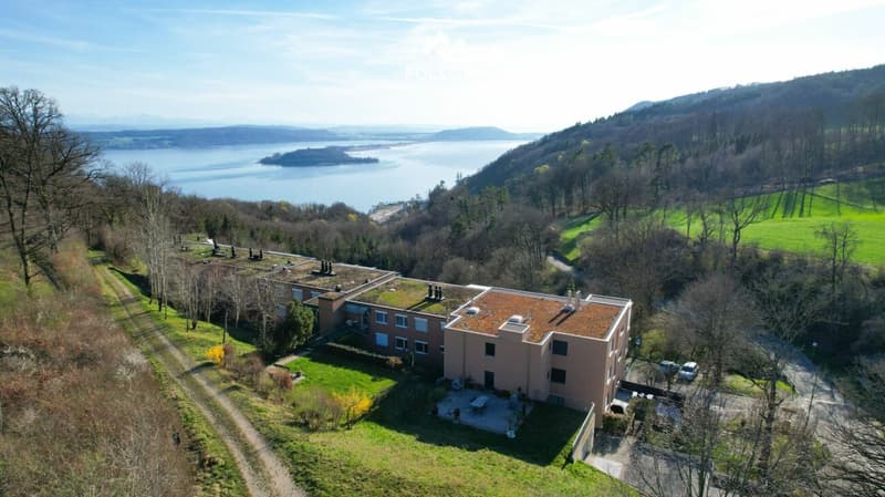 Panoramablick über den Bielersee: Modernisierte Attika-Traumwohnung in Twann (20)