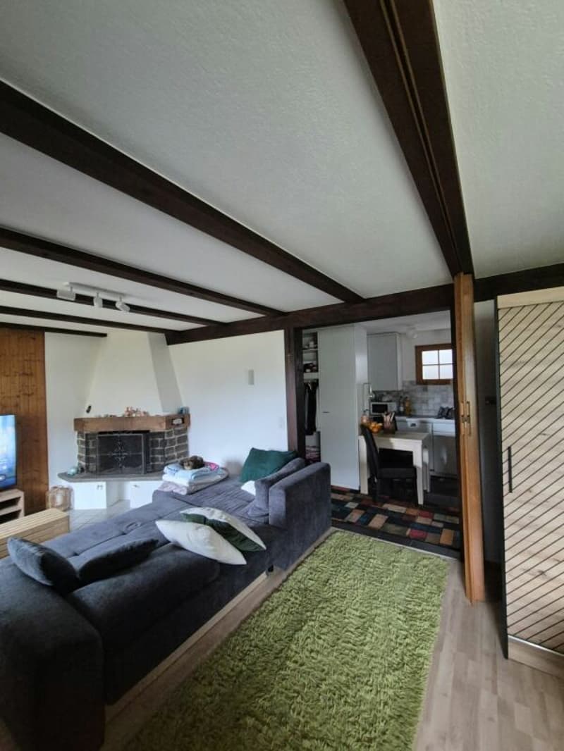 1,5-Zimmer-Wohnung (3)