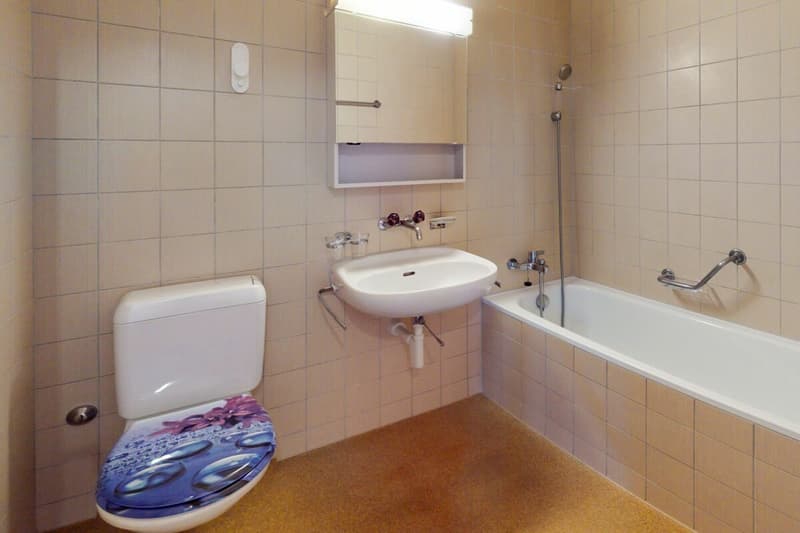 2,5-Zimmer Dachwohnung (9)
