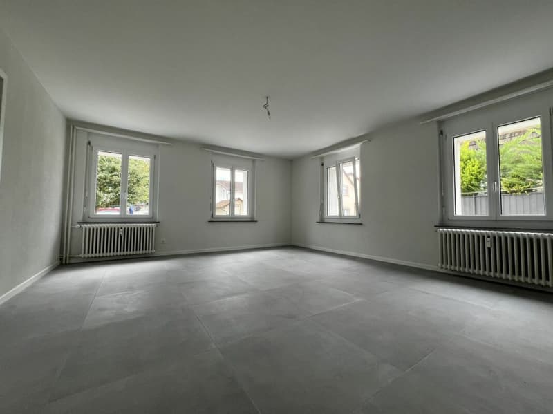 Gemütliche Hochparterre 3.5-Zimmerwohnung zu vermieten! (4)