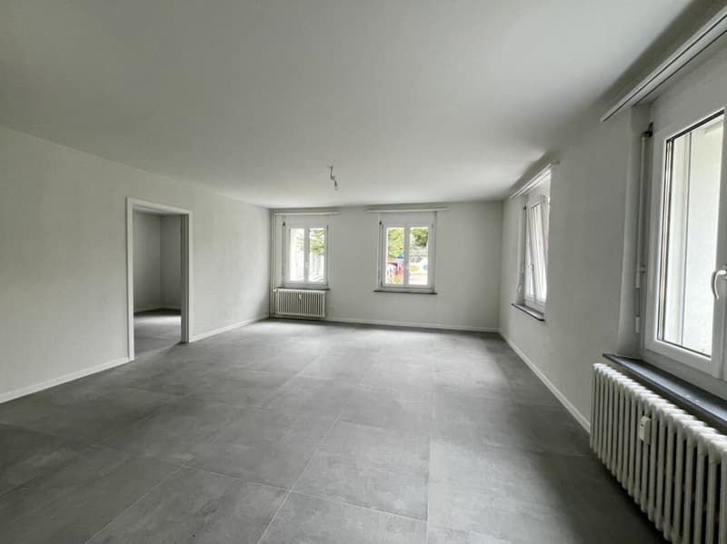 Gemütliche Hochparterre 3.5-Zimmerwohnung zu vermieten! (3)