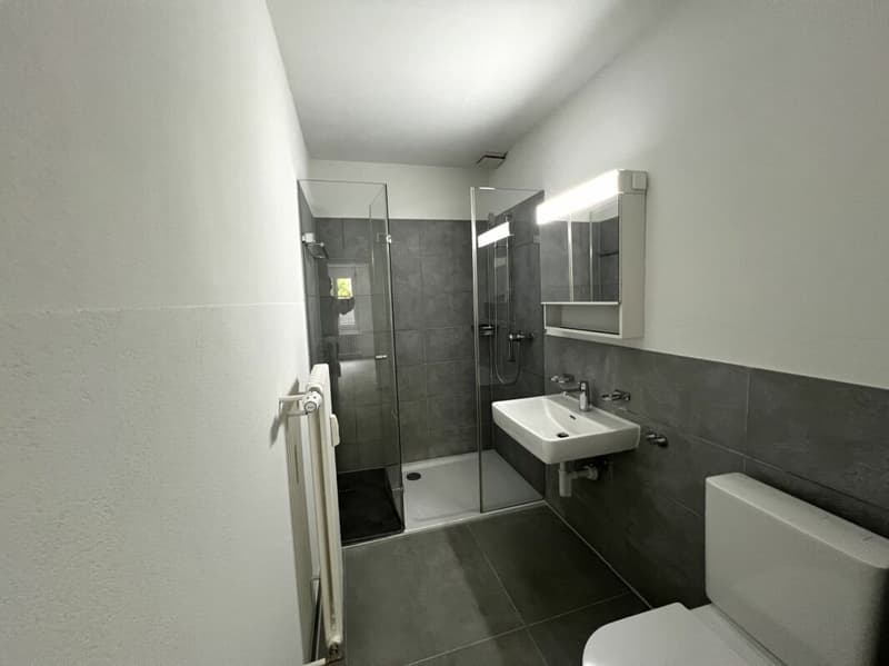 Gemütliche Hochparterre 3.5-Zimmerwohnung zu vermieten! (7)