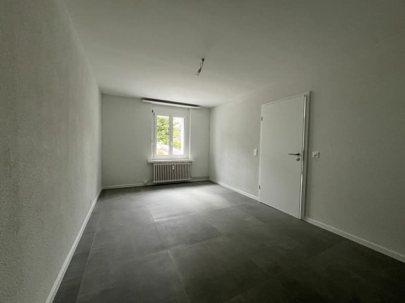 Gemütliche Hochparterre 3.5-Zimmerwohnung zu vermieten! (5)