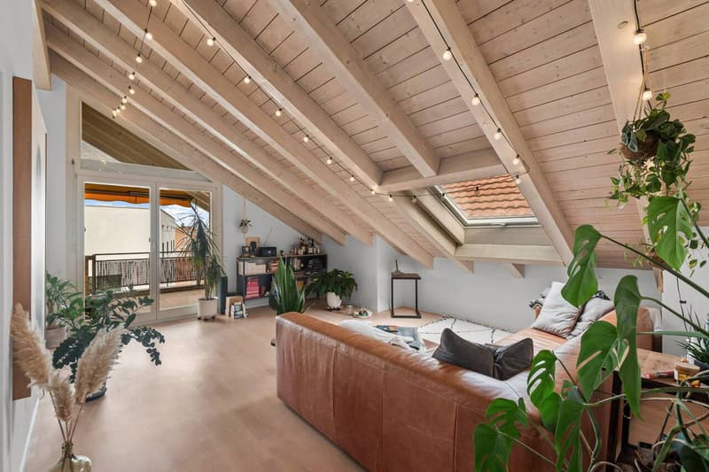 Charmante Dachwohnung an stadtnaher und sonniger Lage! (3)