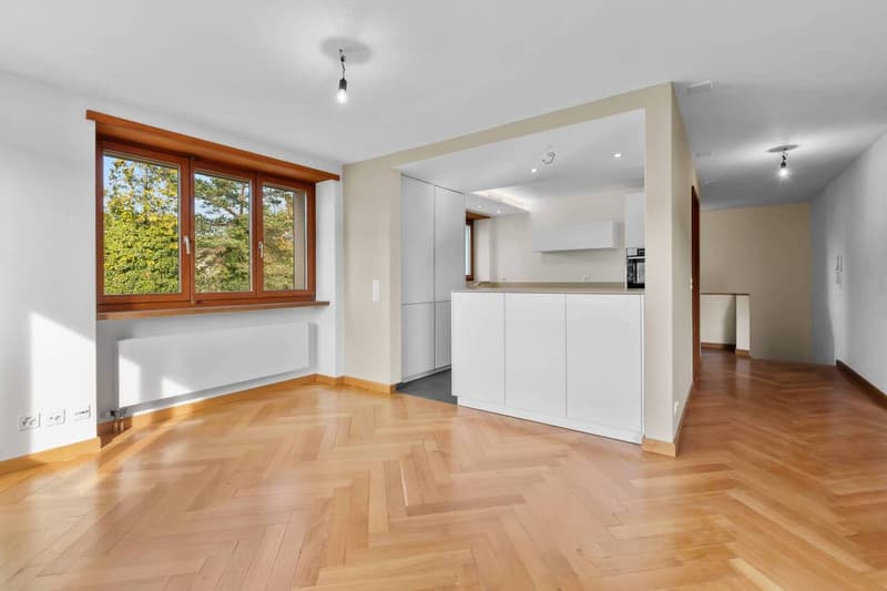Maisonettewohnung mit Cheminée, Gartensitzplatz und 2 Aussenparkplätzen! (3)