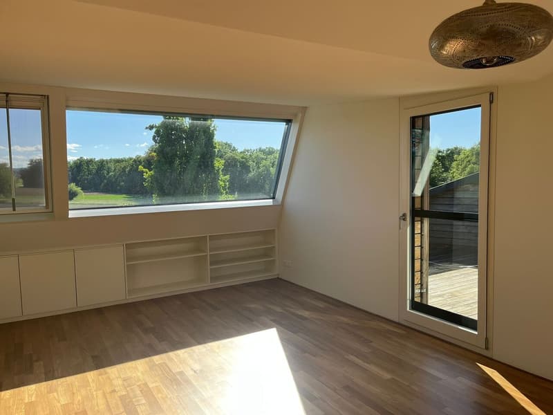 3.5-Zimmerwohnung in Allschwil mit zwei Dachterrassen! (12)