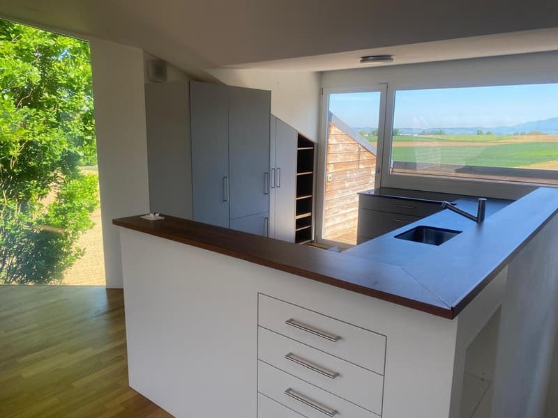3.5-Zimmerwohnung in Allschwil mit zwei Dachterrassen! (3)