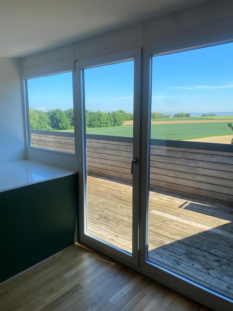 3.5-Zimmerwohnung in Allschwil mit zwei Dachterrassen! (10)