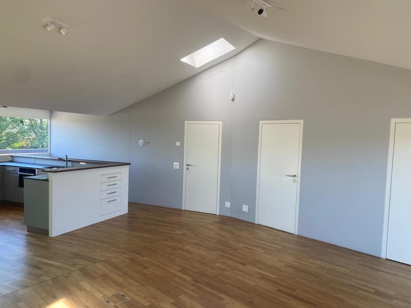 3.5-Zimmerwohnung in Allschwil mit zwei Dachterrassen! (2)