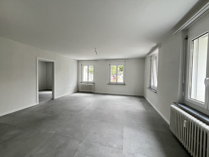 Gemütliche Hochparterre 3.5-Zimmerwohnung zu vermieten! (3)