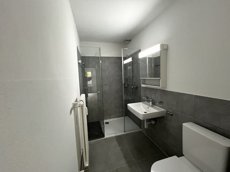 Gemütliche Hochparterre 3.5-Zimmerwohnung zu vermieten! (7)