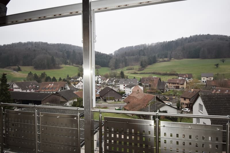 Idyllische Dachwohnung mit zwei Balkonen ! (2)