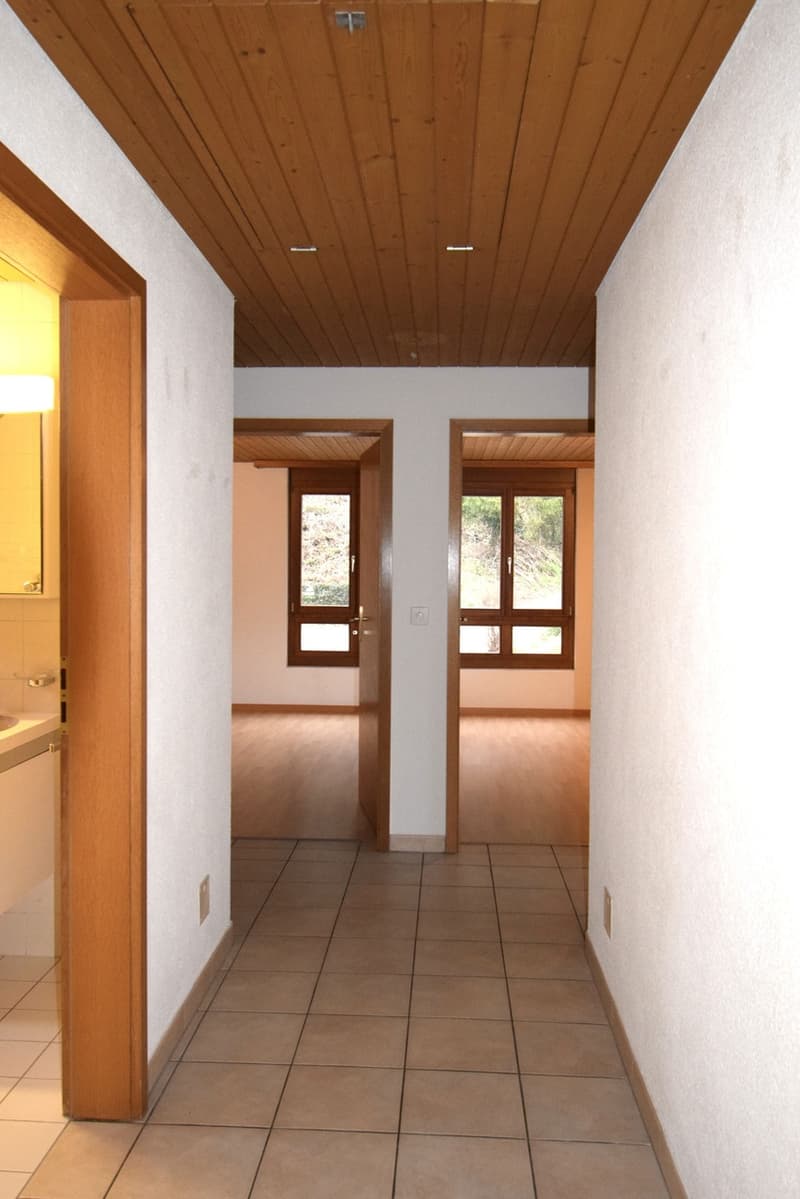 Idyllische Dachwohnung mit zwei Balkonen ! (4)