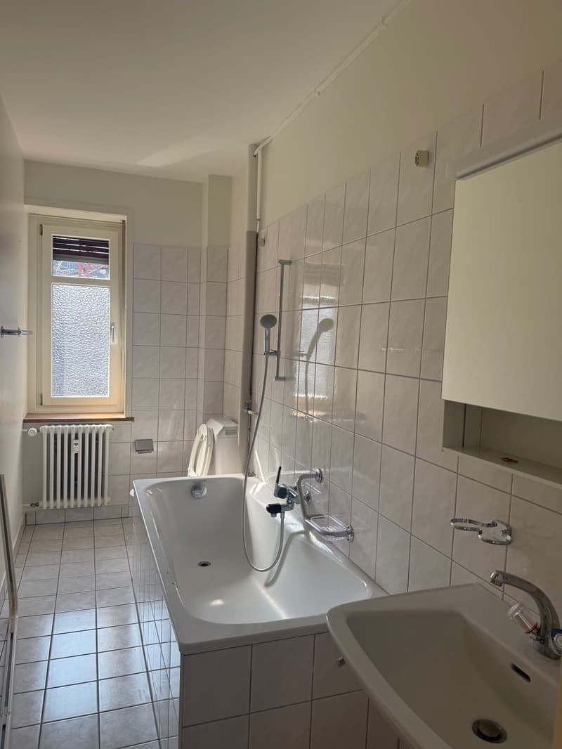 Helle 2.5 Zimmer Wohnung (8)
