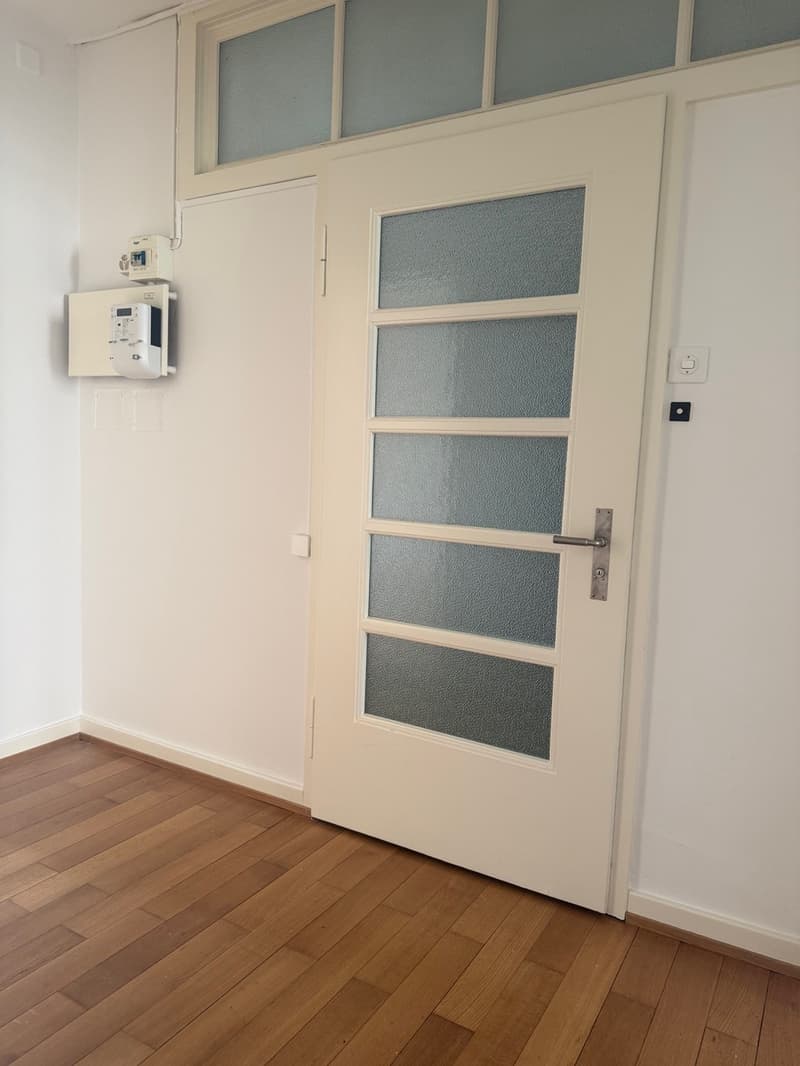 Helle 2.5 Zimmer Wohnung (3)
