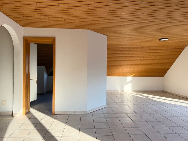 Idyllische Dachwohnung mit zwei Balkonen ! (3)
