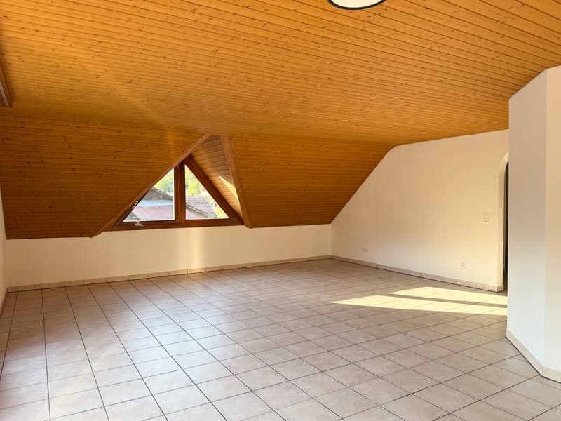 Idyllische Dachwohnung mit zwei Balkonen ! (4)