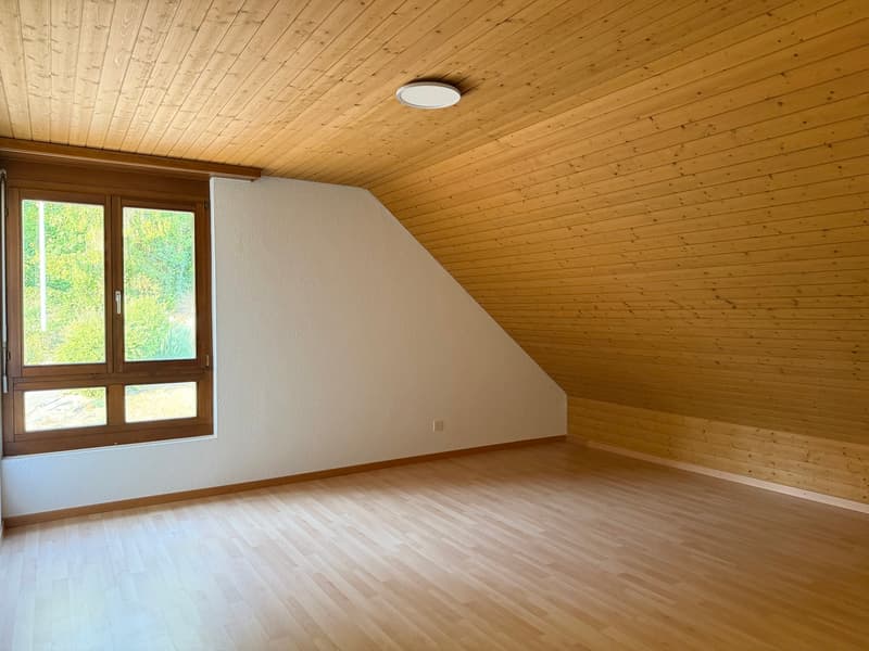 Idyllische Dachwohnung mit zwei Balkonen ! (6)