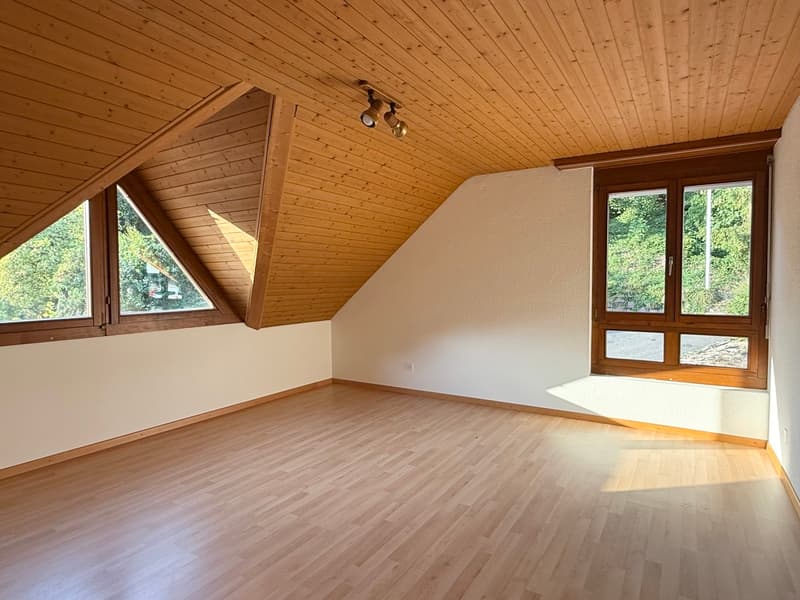 Idyllische Dachwohnung mit zwei Balkonen ! (12)