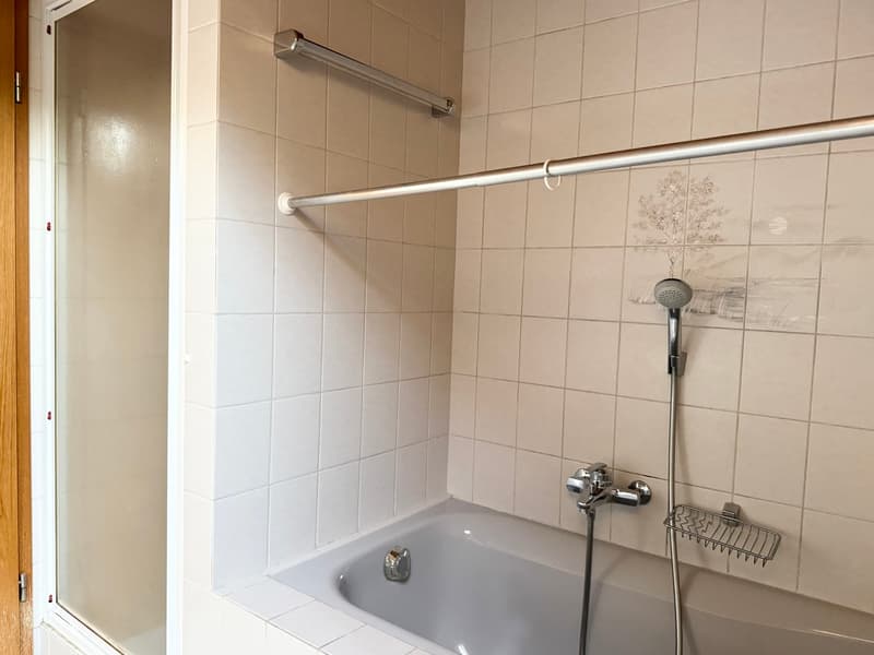 Idyllische Dachwohnung mit zwei Balkonen ! (11)