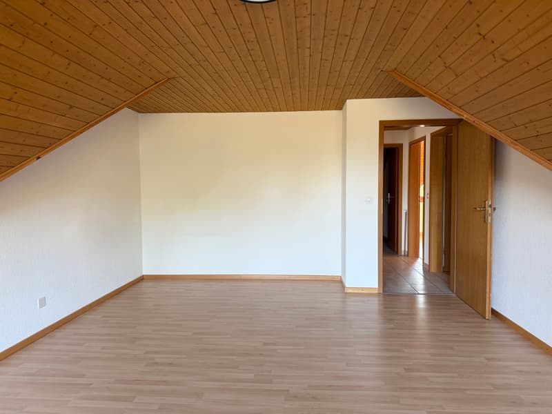 Idyllische Dachwohnung mit zwei Balkonen ! (9)