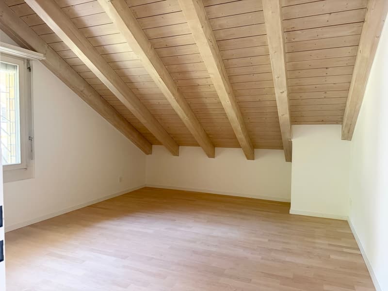 Charmante Dachwohnung an stadtnaher und sonniger Lage! (8)
