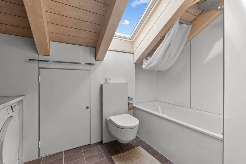 Charmante Dachwohnung an stadtnaher und sonniger Lage! (9)