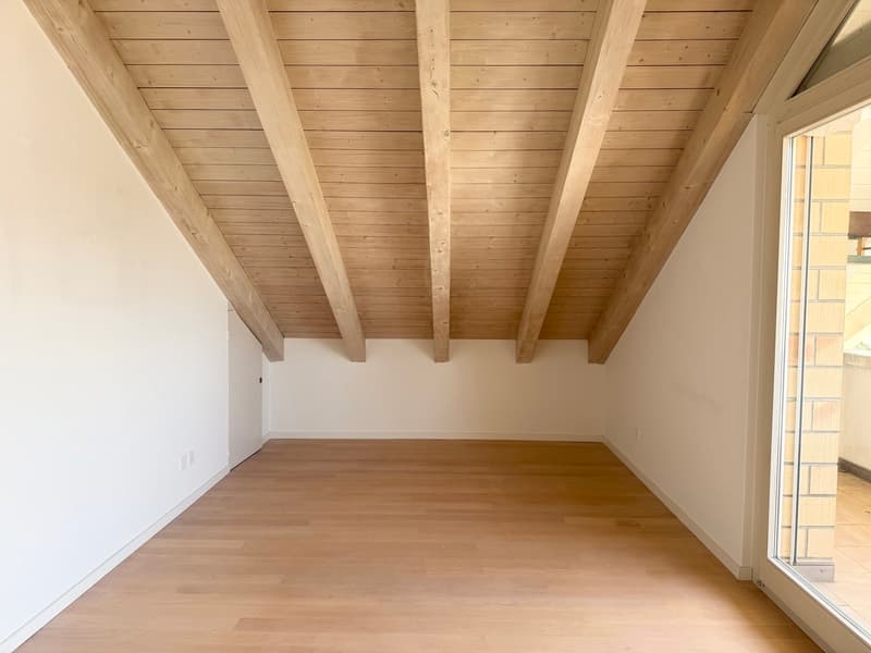 Charmante Dachwohnung an stadtnaher und sonniger Lage! (3)