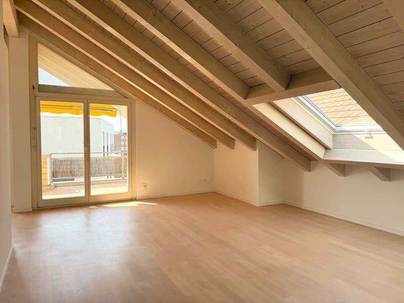 Charmante Dachwohnung an stadtnaher und sonniger Lage! (1)