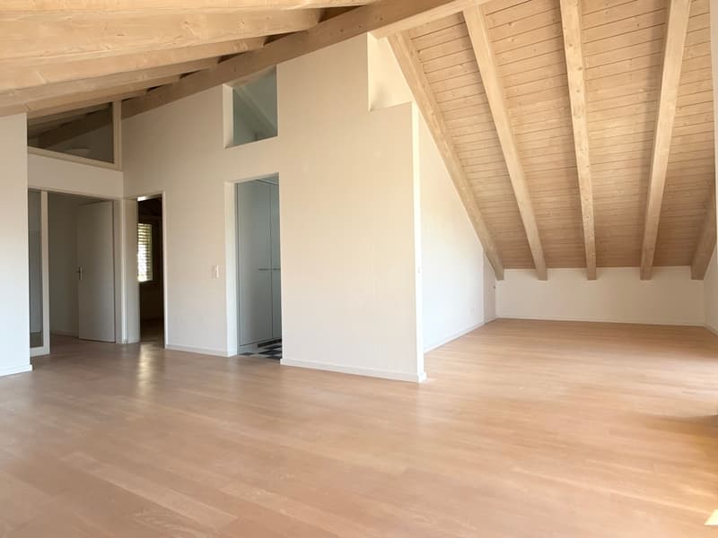 Charmante Dachwohnung an stadtnaher und sonniger Lage! (2)