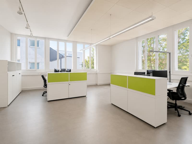 Ihr neuer Business-Standort in Birsfelden! (5)