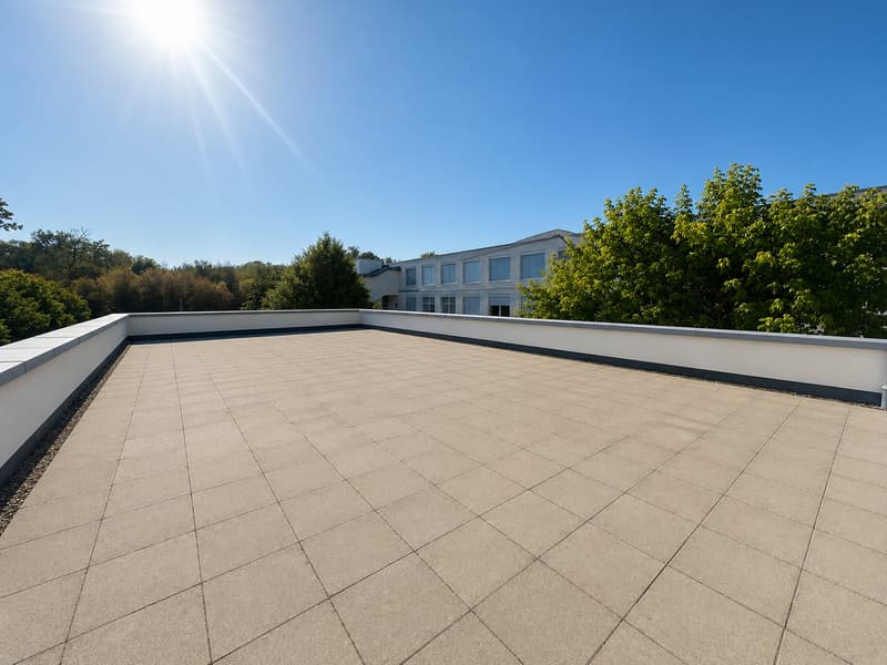 Ihr neuer Business-Standort in Birsfelden! (3)