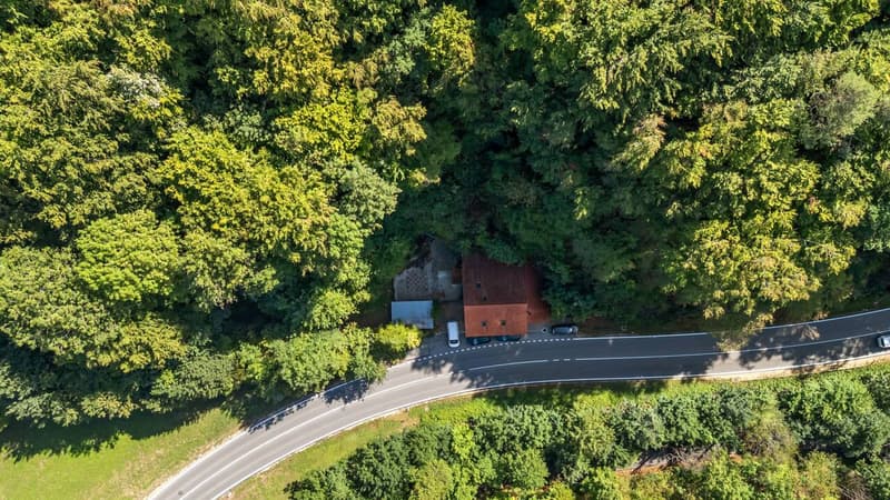 Einzigartiges Wohnen inmitten grüner Natur! (2)