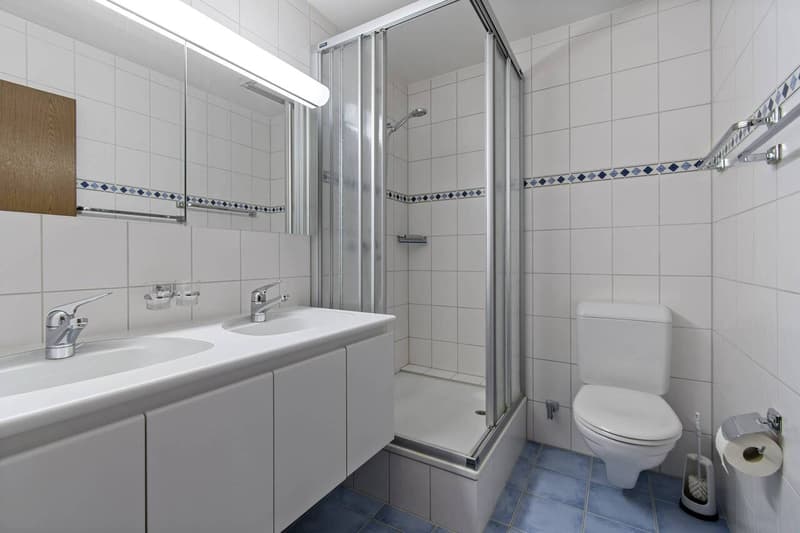 Familienfreundliches 7.5-Zimmer-Reihenhaus im STWE in Riehen! (7)