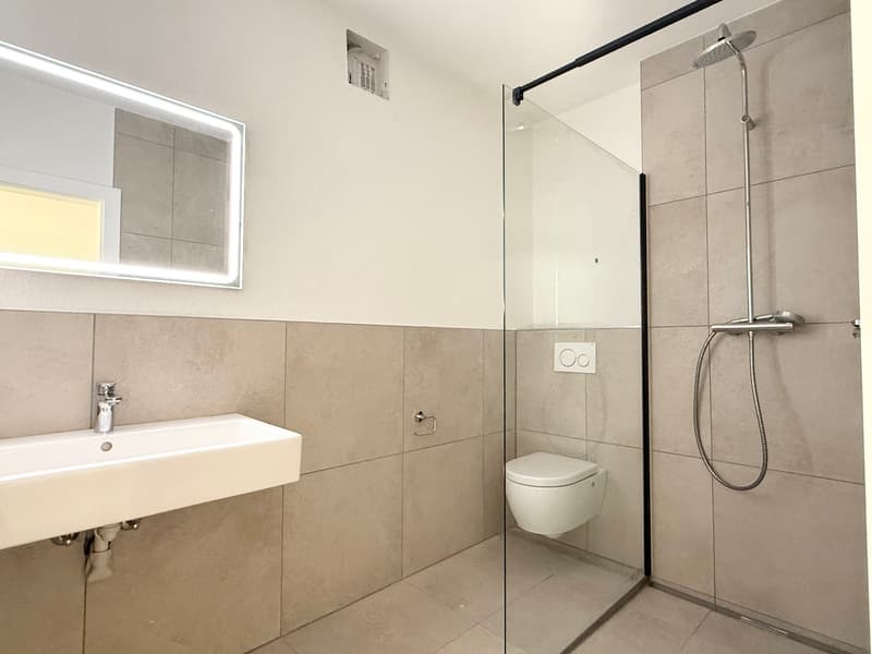 Frisch renoviert - neuwertige 4.5-Zimmer Erdgeschosswohnung in Horgen! (5)
