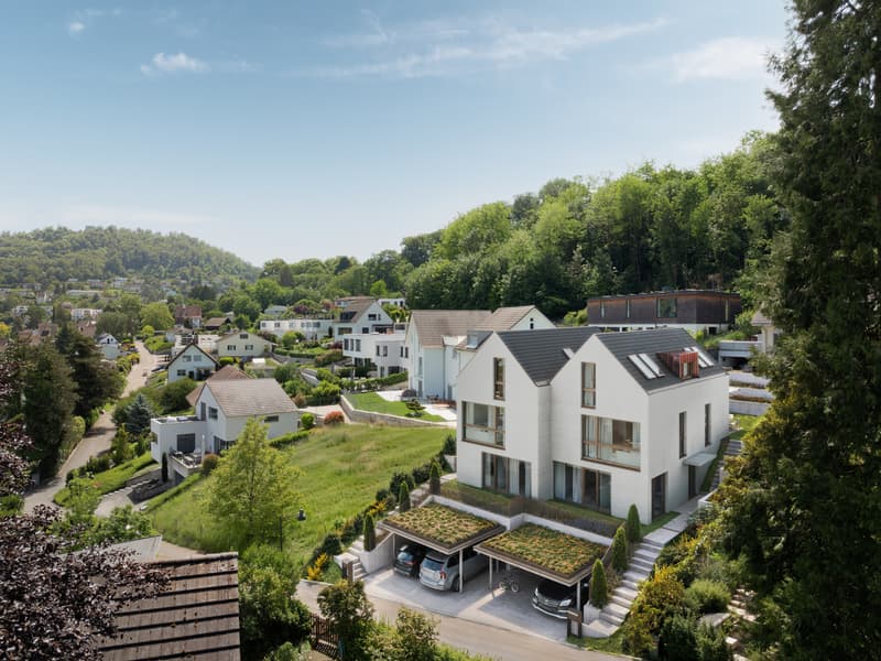 Duo Fulenbach: Doppelfamilienhaus mit fantastischer Weitsicht! (4)