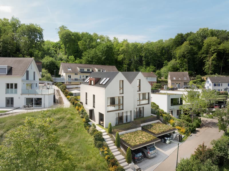 Duo Fulenbach: Doppelfamilienhaus mit fantastischer Weitsicht! (5)