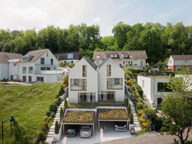 Duo Fulenbach: Doppelfamilienhaus mit fantastischer Weitsicht! (6)